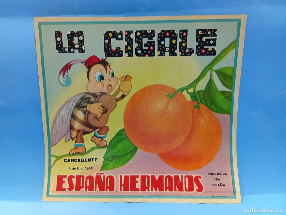 Etiquetas antiguas: ETIQUETA. NARANJAS. LA CIGALE. ESPA&Ntilde;A HERMANAS. CARCAGENTE, VALENCIA. ORIGINAL.