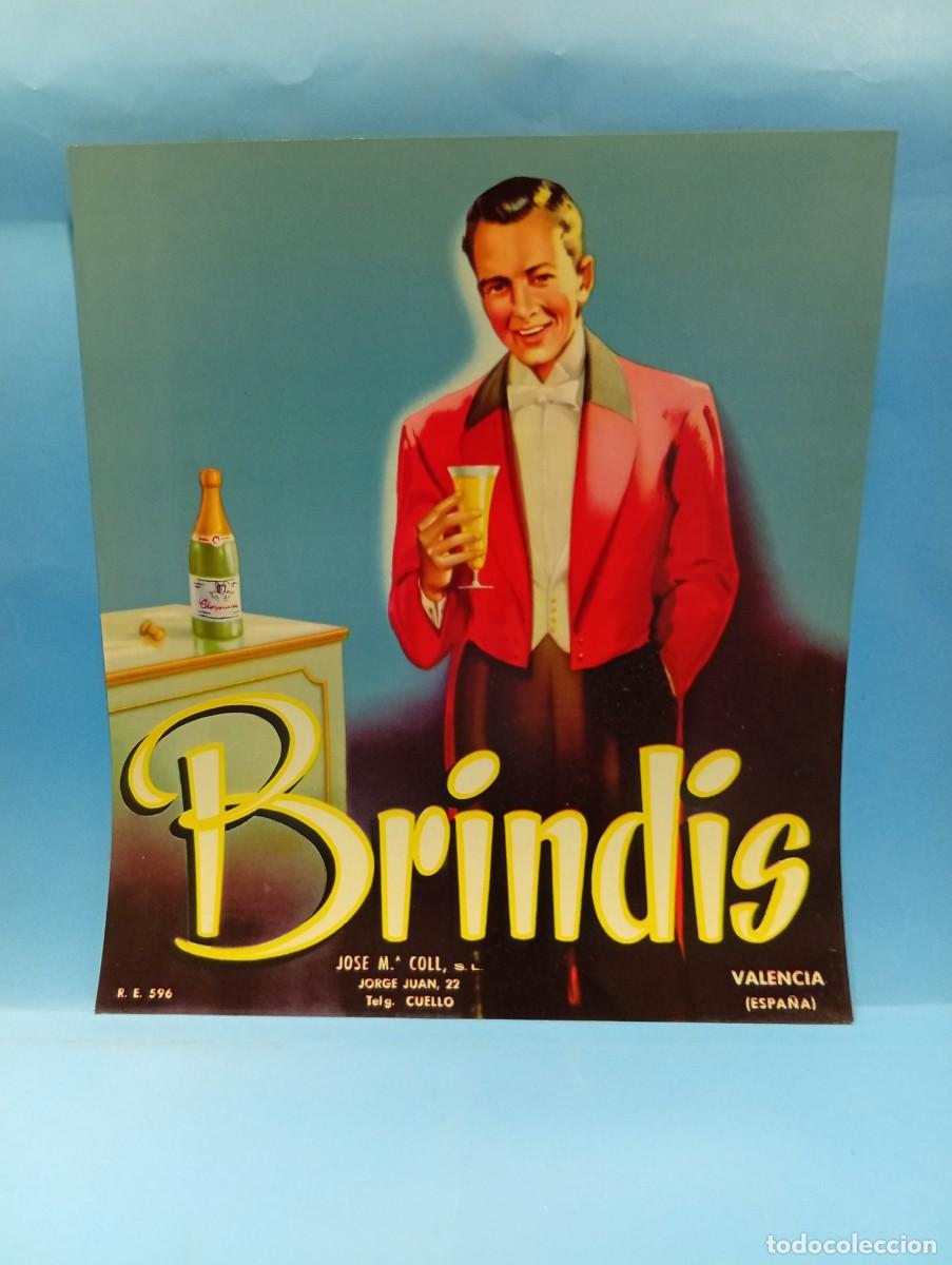 Etiquetas antiguas: ETIQUETA. NARANJAS. BRINDIS. JOSE M&ordf;. COLL, S.L. VALENCIA. ORIGINAL. VER.