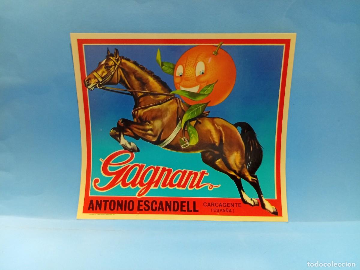 Etiquetas antiguas: ETIQUETA. NARANJAS. GAGNANT. ANTONIO ESCANDELL. CARCAGENTE, VALENCIA. ORIGINAL. VER.