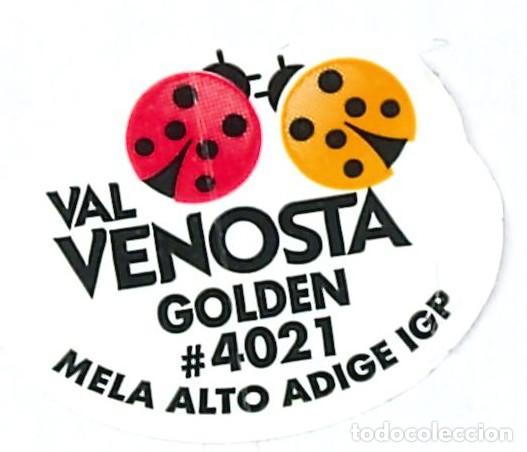 Etiquetas antiguas: ETIQUETA FRUTA - VAL VENOSTA GOLDEN - 4021 - MELA ALTO ADIGE IGP