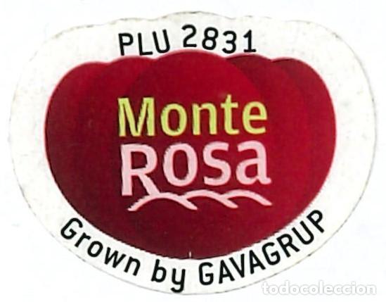 Etiquetas antiguas: ETIQUETA FRUTA - MONTE ROSA - GROWN BY GAVAGRUP