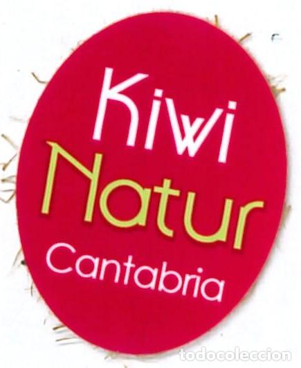 Etiquetas antiguas: ETIQUETA FRUTA - KIWI NATUR CANTABRIA