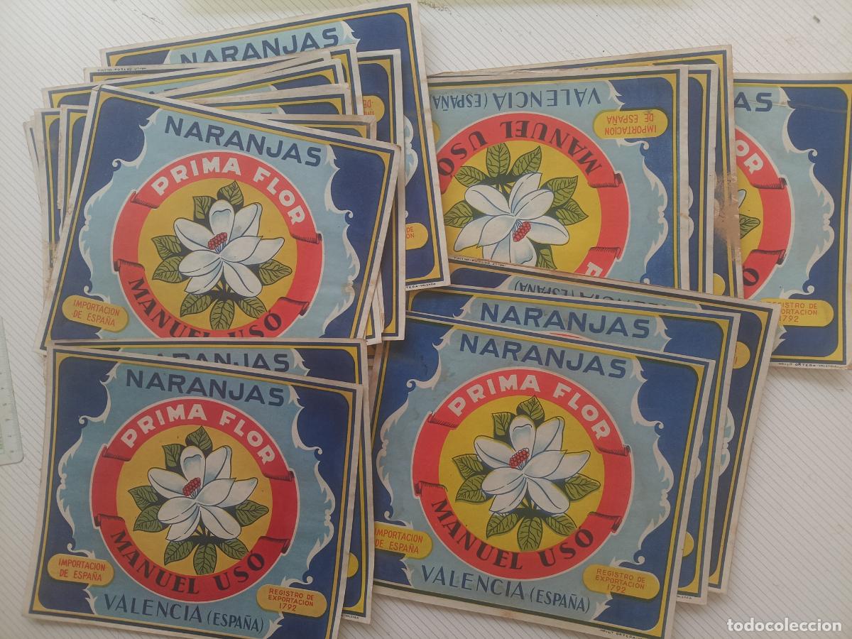 Etiquetas antiguas: 18 ETIQUETAS NARANJAS PRIMA FLOR MANUEL USO ALCIRA VALENCIA ORIGINAL