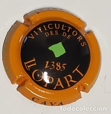 Etichette antiche: PLACA DE LLOPART ETIQUETA VERDE