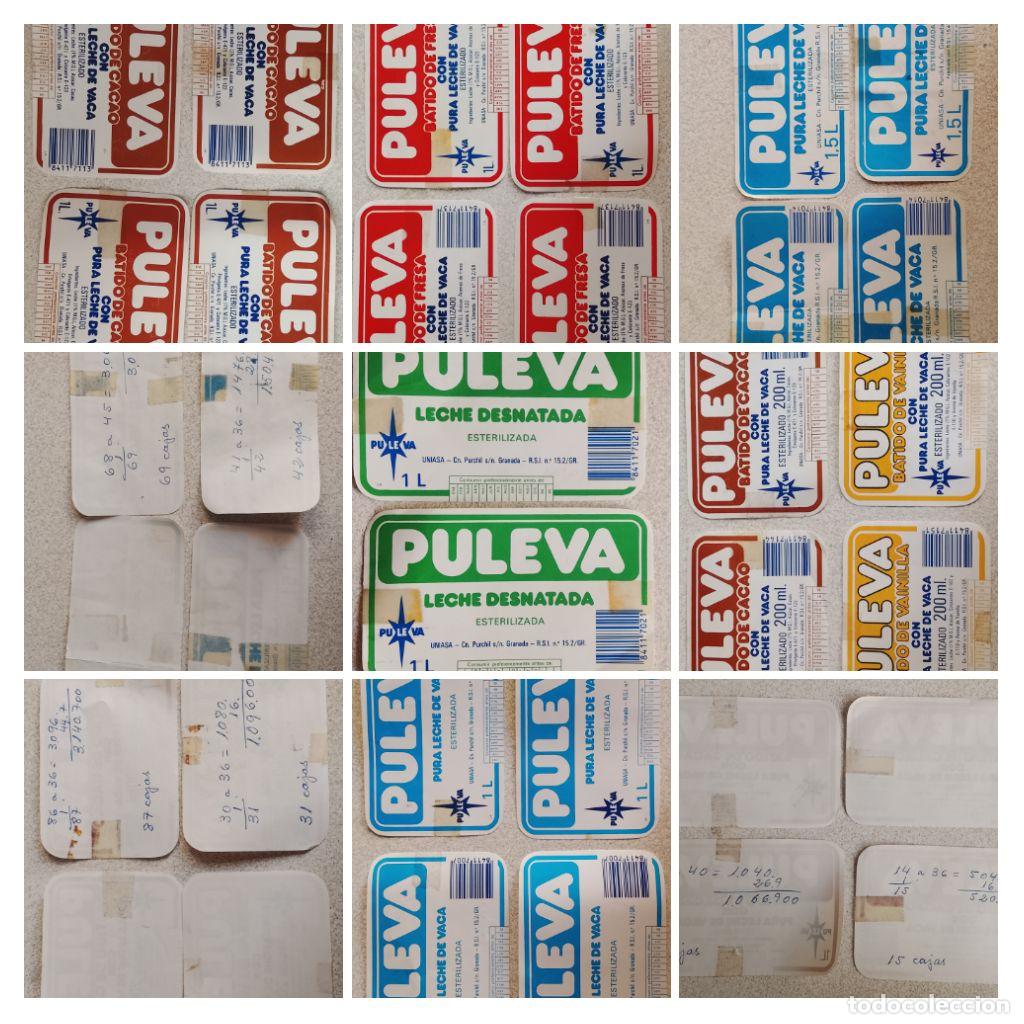 Etiquetas antiguas: LA MEJOR COLECCION DE ETIQUETAS LECHE LACTEOS BATIDOS PULEVA DE LOS A&Ntilde;OS 80 ORIGINALES LOTE UNICO