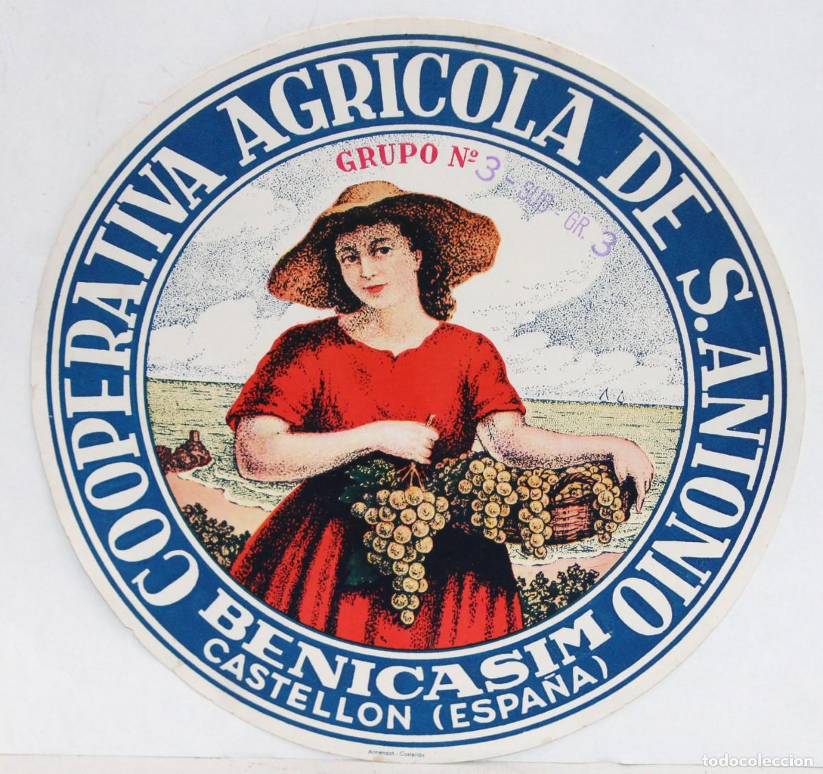 Etiquetas antiguas: ETIQUETA PUBLICITARIA DE LA COOPERATIVA AGICOLA DE S. ANTONIO (BENICASIM, CASTELLON). Ed. ARMENGOT