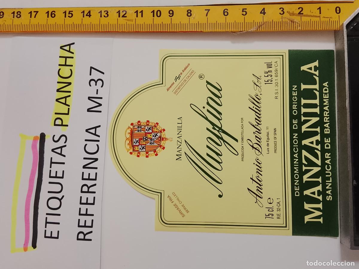 Etiquetas antiguas: HAGA SU OFERTA - ANTIGUA ETIQUETA DE VINO LICOR co&ntilde;ac manzanilla fino SANLUCAR JEREZ CADIZ EL PUERTO