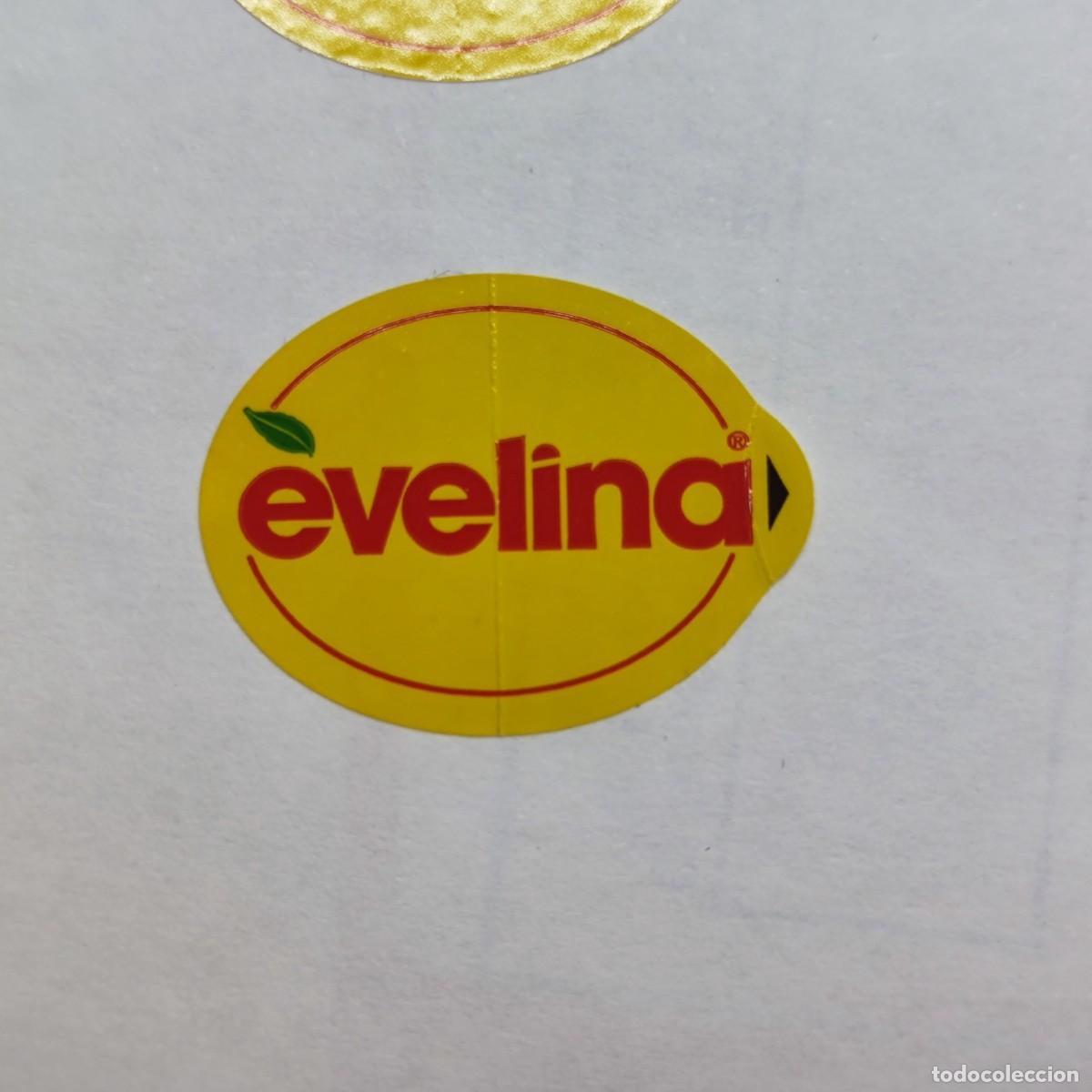 Etiquetas antiguas: ETIQUETA FRUTA - EVELINA - MANZANA