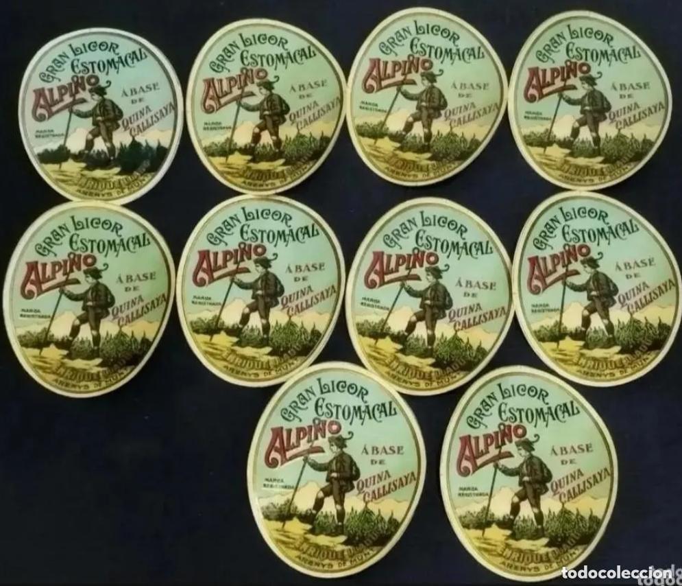Old Labels: LOTE DE 10 ETIQUETAS GRAN LICOR ESTOMACAL ALPINO. ENRIQUE LLADO, ARENYS DE MUNT