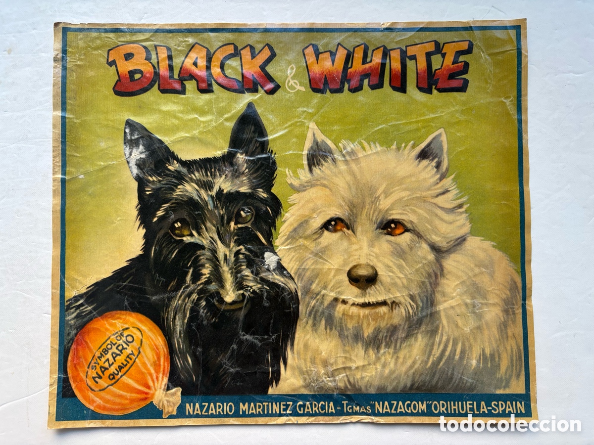 Etiquetas antiguas: BLACK & WHITE, NAZARIO MARTINEZ, PERROS, RARA Y ANTIGUA ETIQUETA NARANJAS - ORIHUELA, ALICANTE