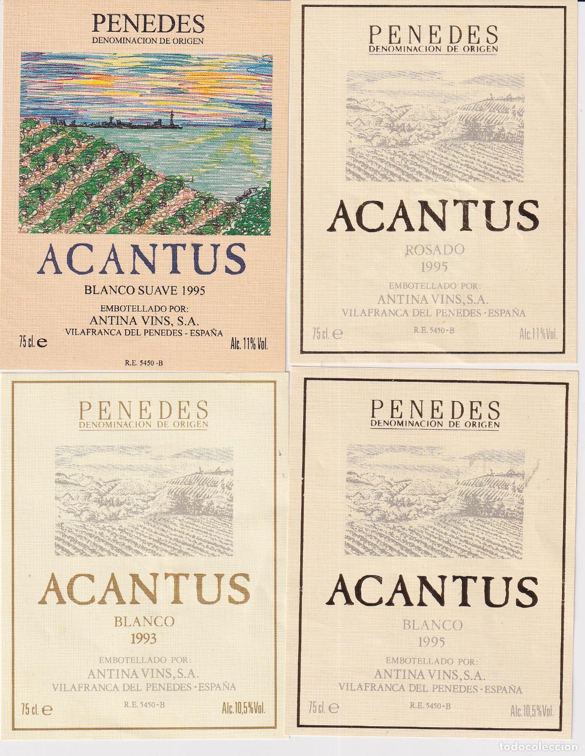 Etiquetas antiguas: 4 ETIQUETAS DE VINO ACANTUS - D.O.PENEDES - ANTINA VINS - VILAFRANCA DEL PENEDES 1993,1995