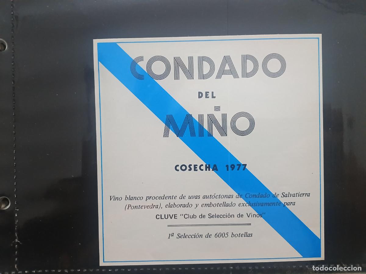 Etiquetas antiguas: Condado del Mi&ntilde;o 1977. Etiqueta - Foto 1