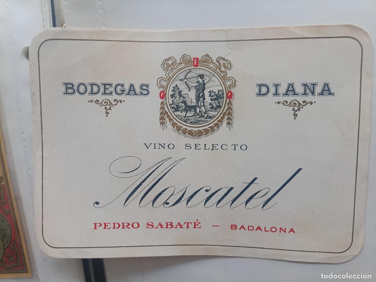 Etiquetas antiguas: MOSCATEL - BODEGAS DIANA - BADALONA - Foto 1