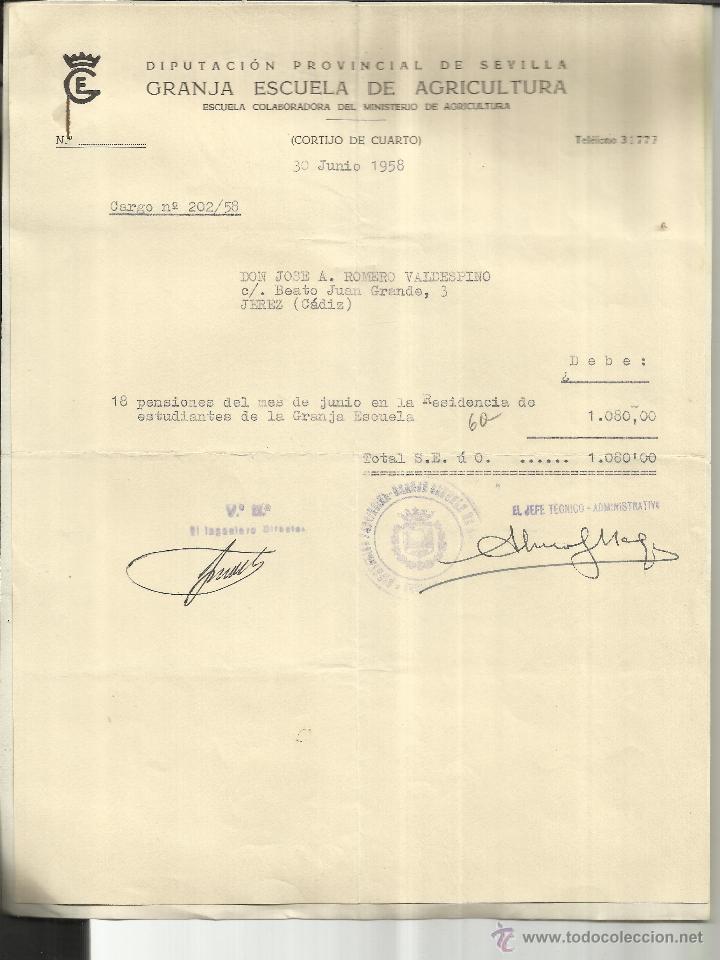Alte Rechnungen: FACTUA DE GRANJA ESCUELA DE AGRICULTURA. DIPUTACI&Oacute;N DE SEVILLA. ANEXO CARTA DE CONTABILIDAD. 1958