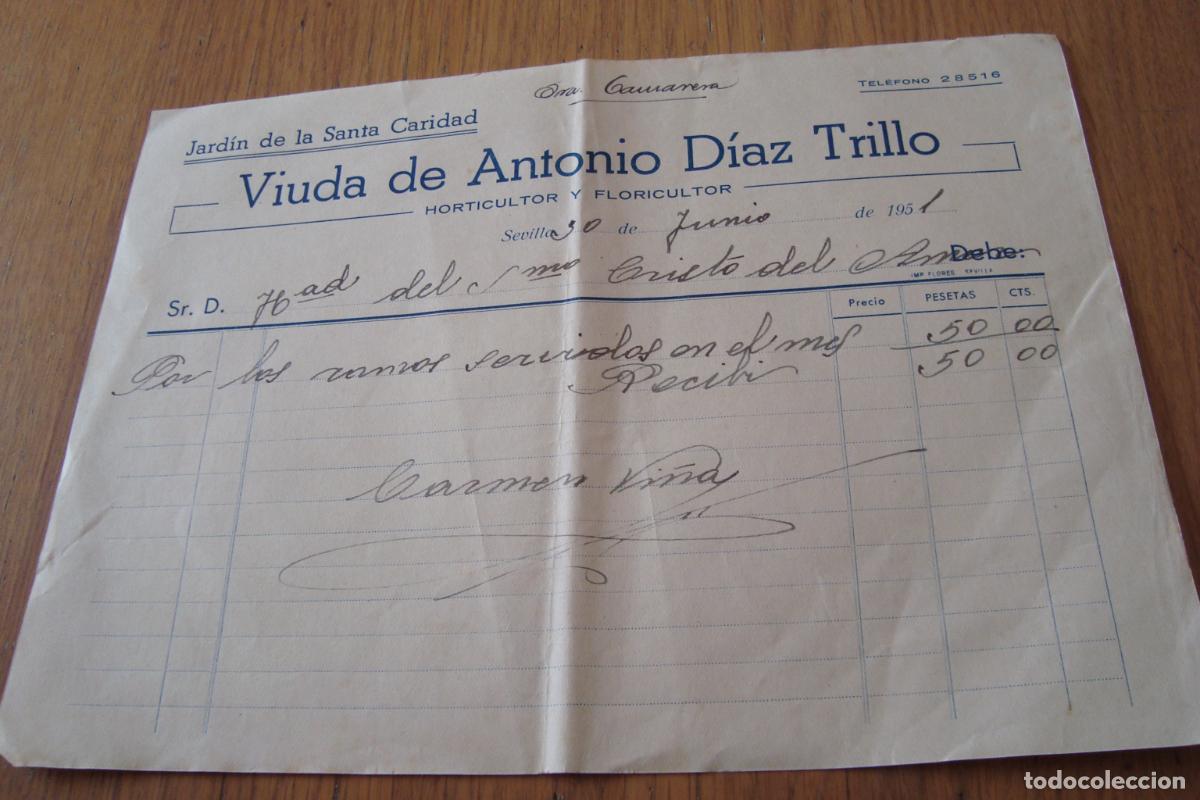 Facturas antiguas: ANTIGUA FACTURA HORTICULTOR VDA. ANTONIO DIAZ TRILLO. JARDIN DE LA SANTA CARIDAD. SEVILLA 1951.