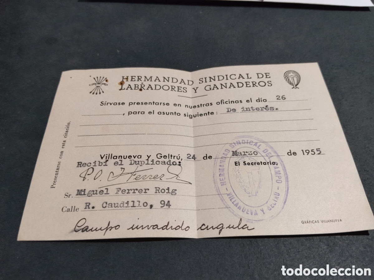 Fatture antiche: Hermandad Sindical de Labradores y Ganaderos, Villanueva y Geltr&uacute; 1955