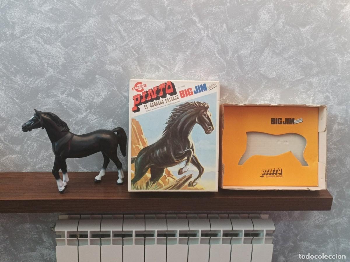 Figuras de acci&oacute;n - Big Jim: caja caballo pinto big jim version espa&ntilde;ola congost