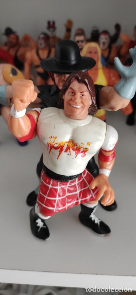 Figuras de acci&oacute;n: Figura hasbro wwf - Foto 1