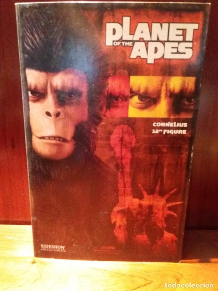 Figuras de acci&oacute;n: PLANETA DE LOS SIMIOS FIGURA CORNELIUS 30 CM SIDESHOW - Foto 1