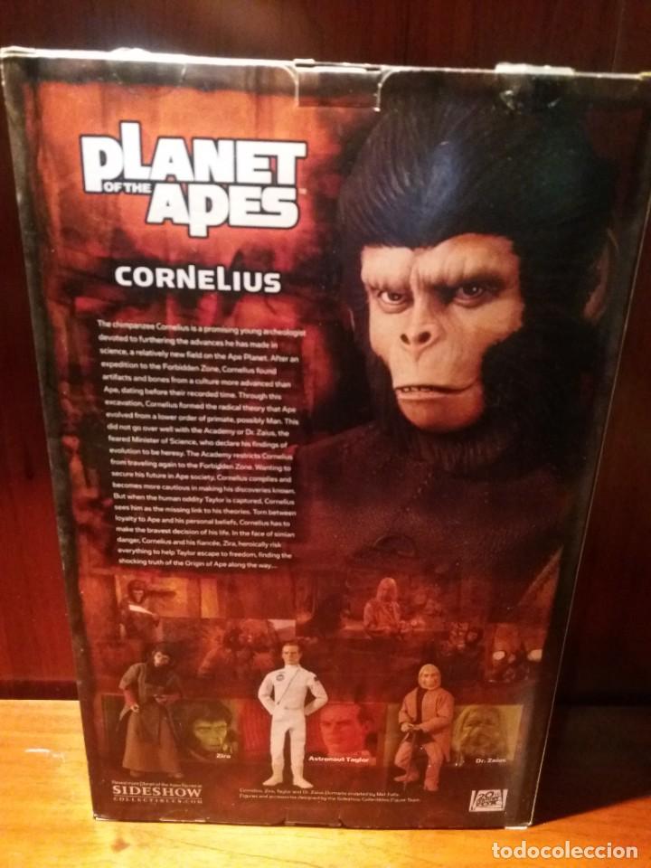 Figuras de acci&oacute;n: PLANETA DE LOS SIMIOS FIGURA CORNELIUS 30 CM SIDESHOW - Foto 3