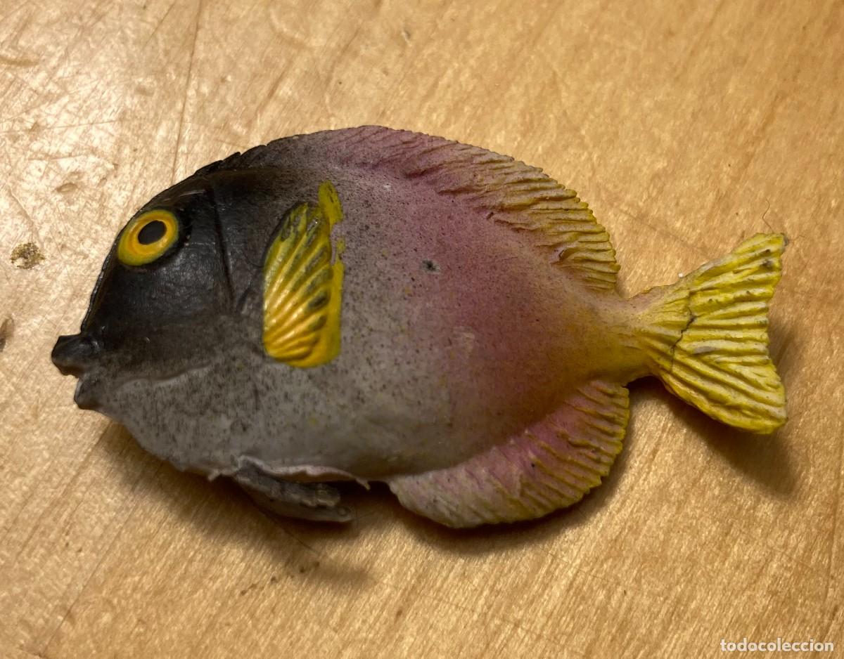 Figuras de acci&oacute;n: pescado a identificar - Foto 1