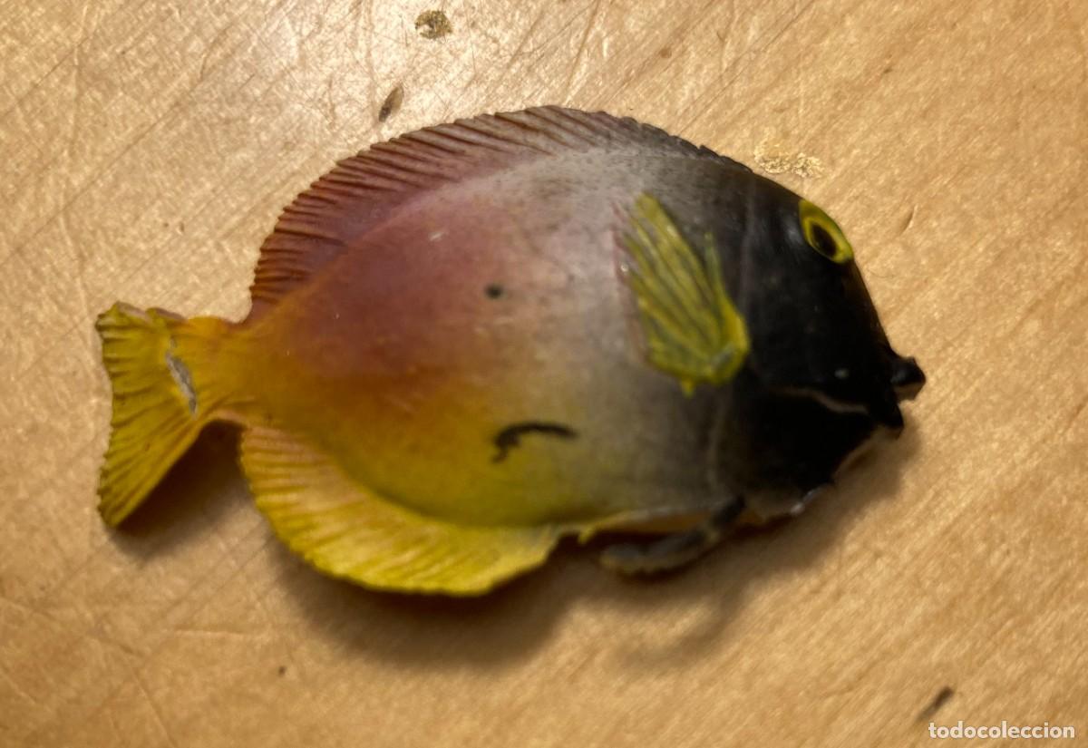 Figuras de acci&oacute;n: pescado a identificar - Foto 2