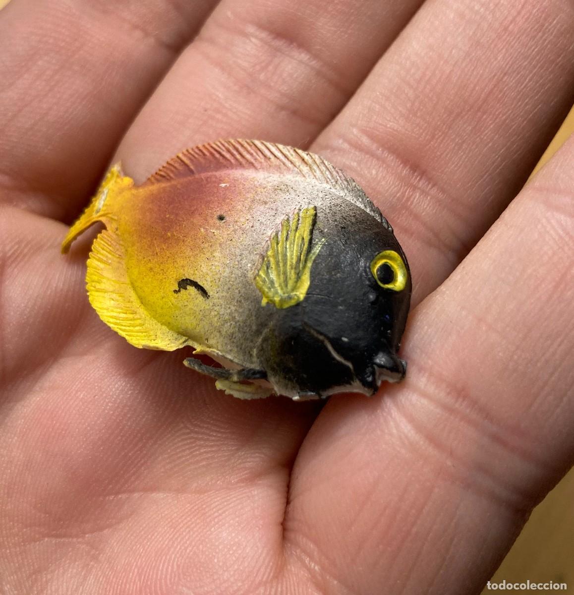 Figuras de acci&oacute;n: pescado a identificar - Foto 3