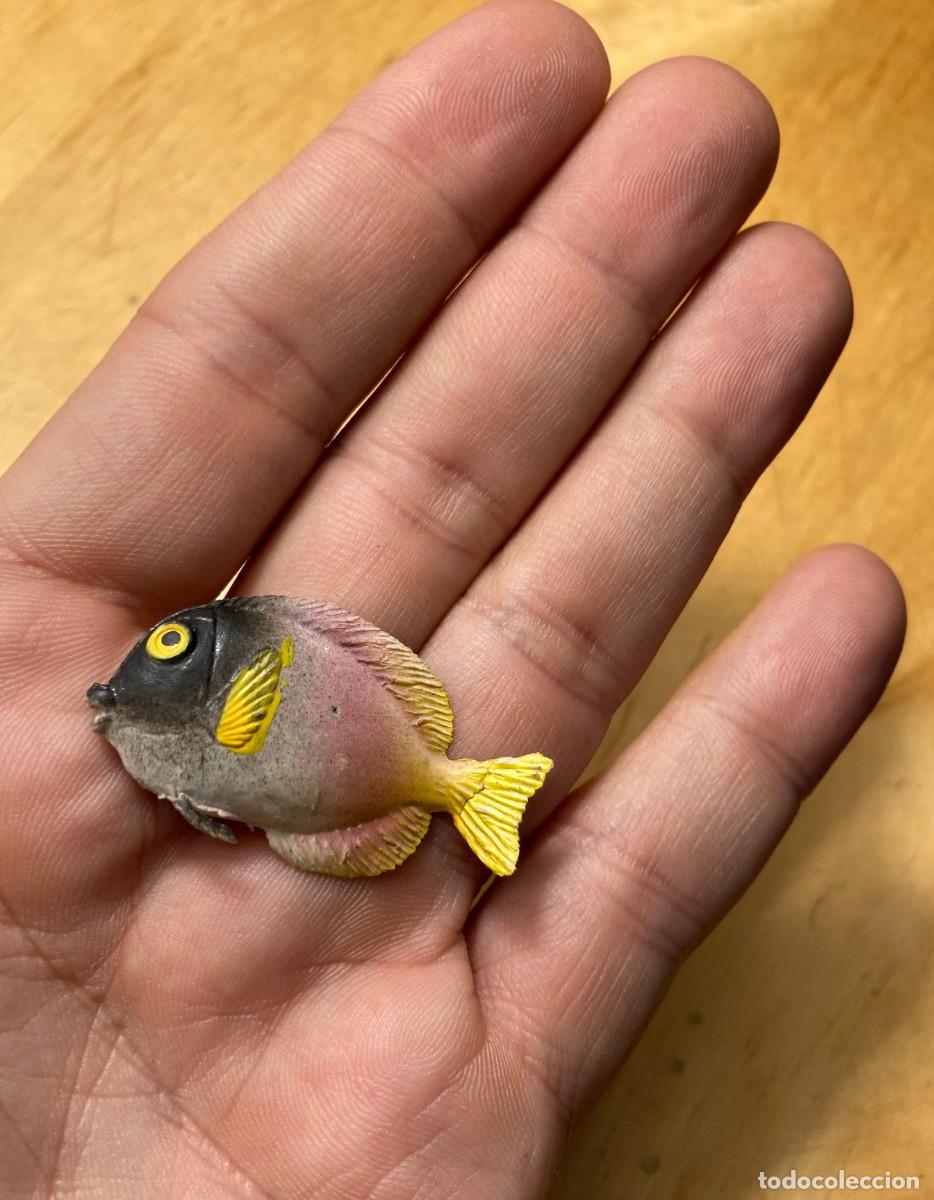 Figuras de acci&oacute;n: pescado a identificar - Foto 4