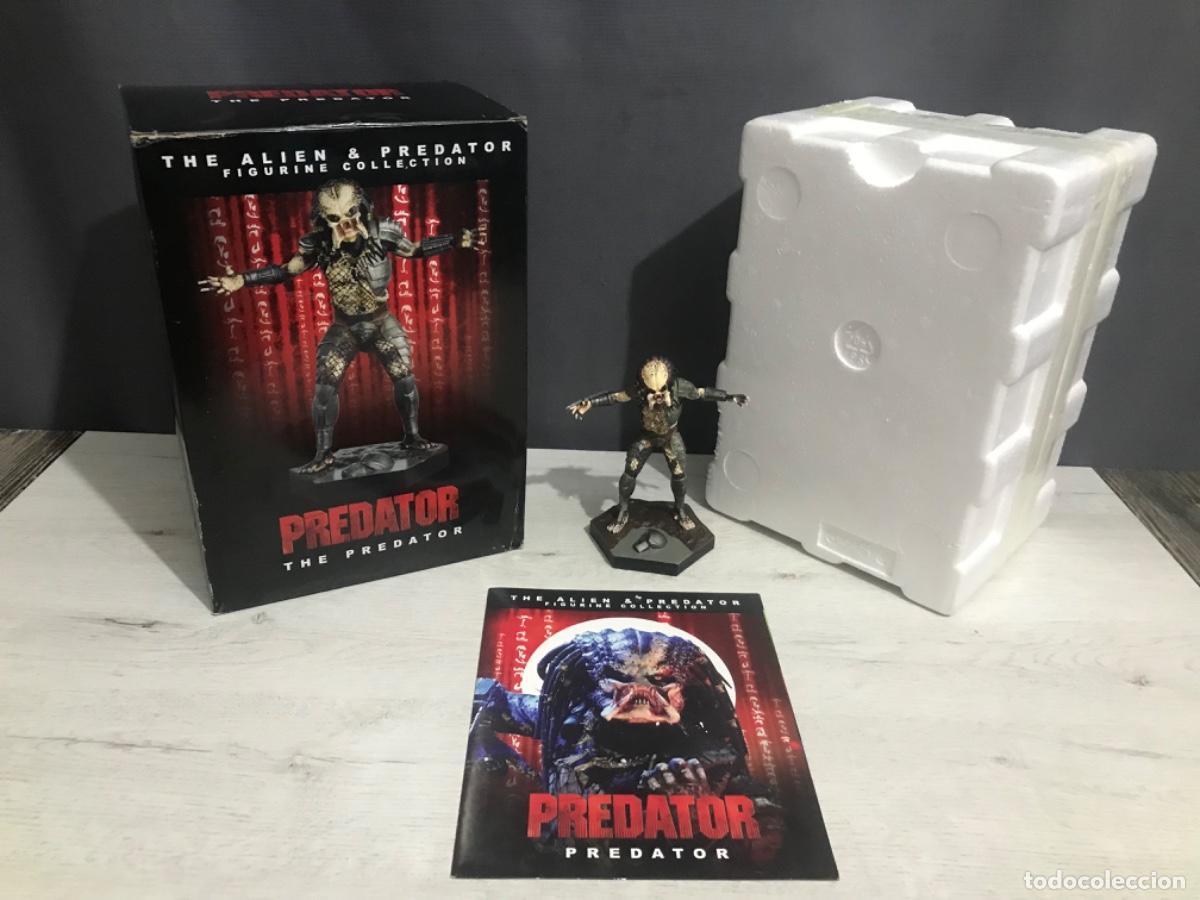 Figuras de acci&oacute;n: Figura Predator the Al&iacute;en y Predator - Foto 1