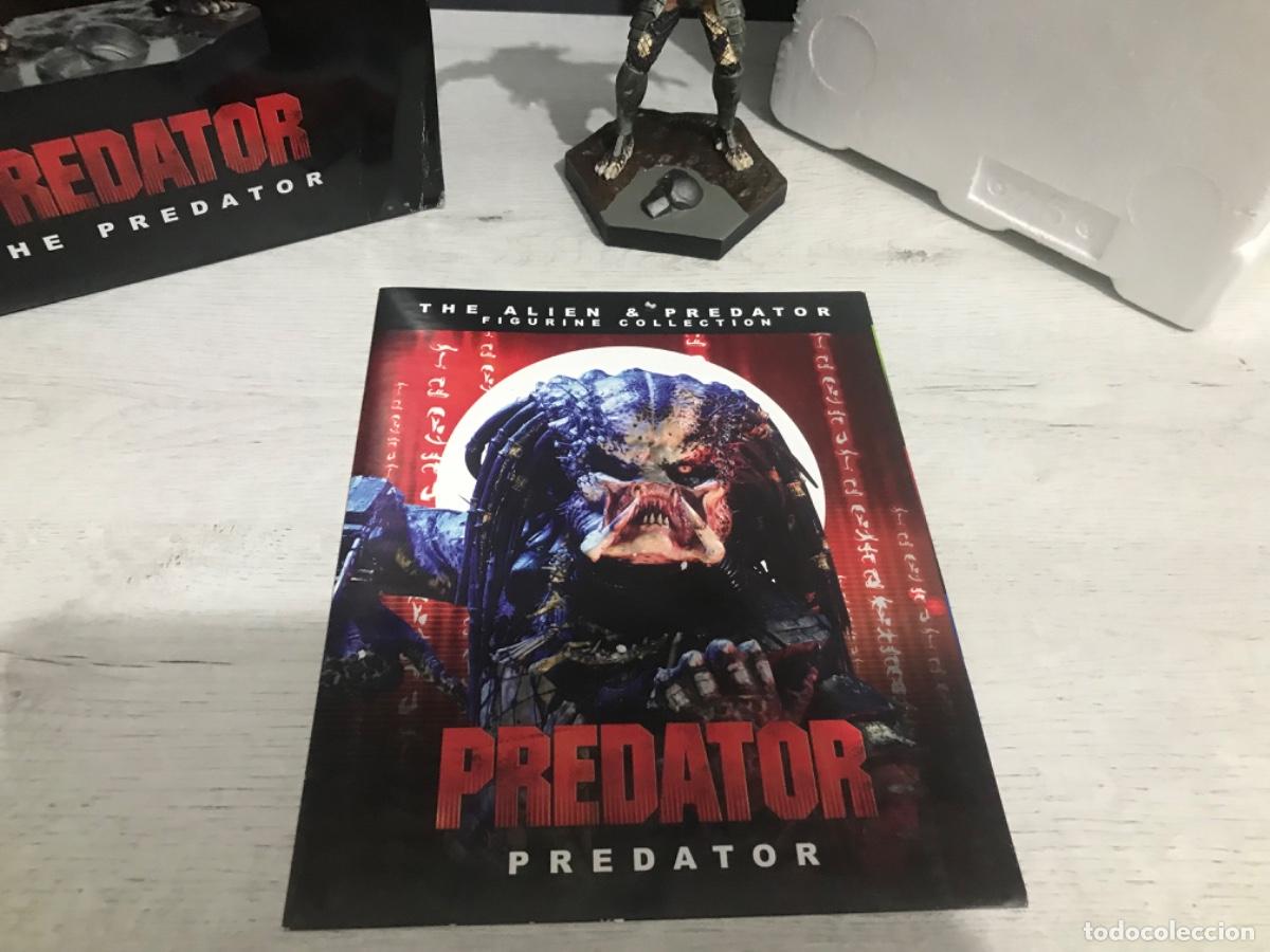 Figuras de acci&oacute;n: Figura Predator the Al&iacute;en y Predator - Foto 5