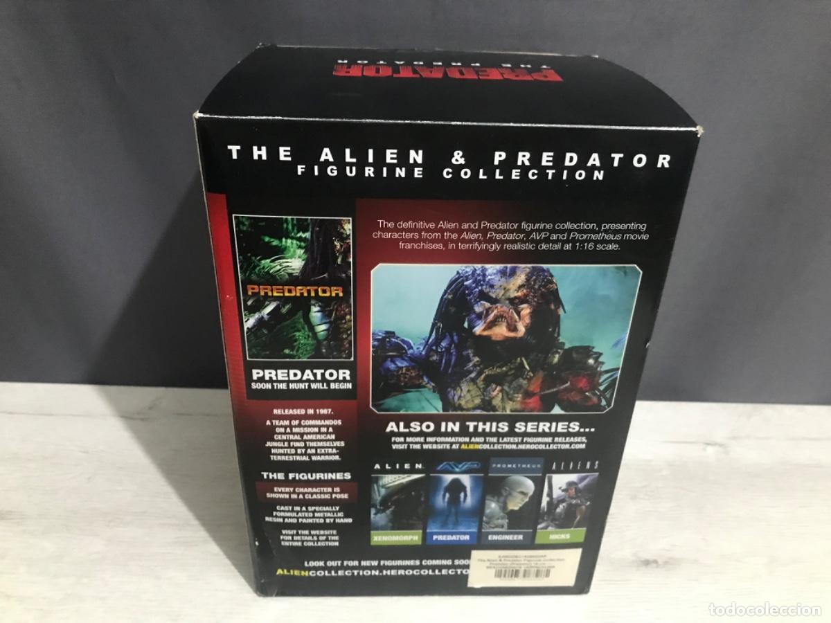 Figuras de acci&oacute;n: Figura Predator the Al&iacute;en y Predator - Foto 22