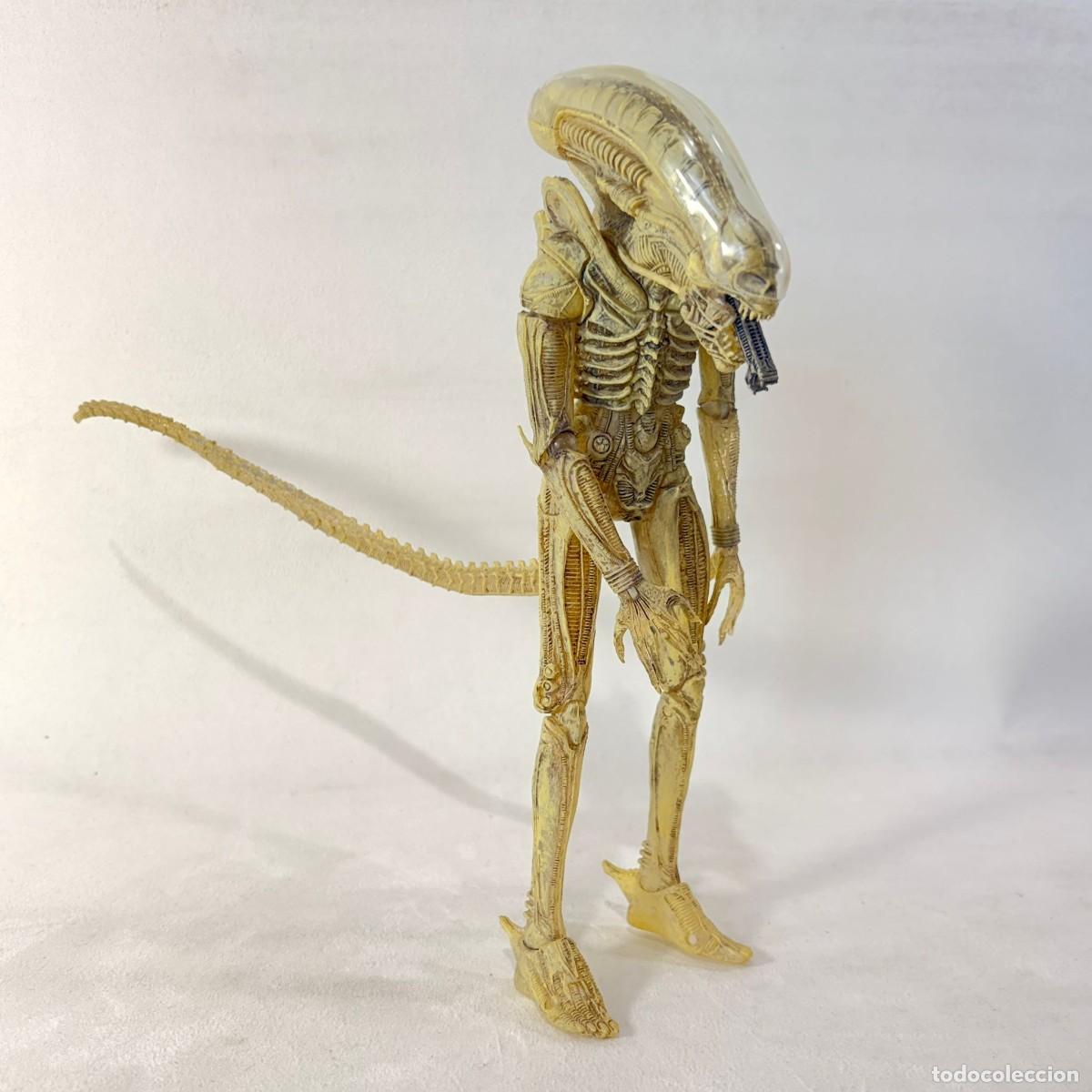Figuras de acci&oacute;n: FIGURA ALIENS - NECA - 23CMS