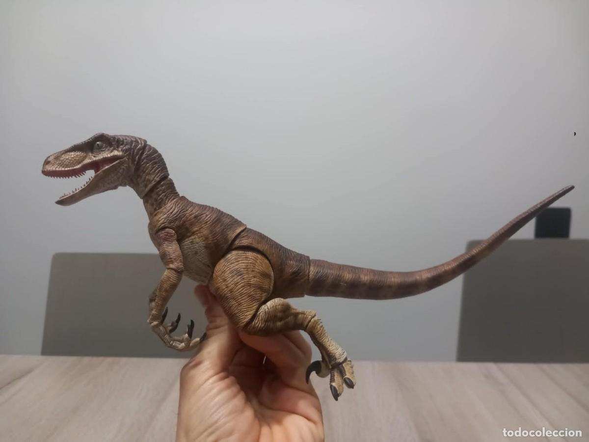 Figuras de acci&oacute;n: Dinosaurios Nanmu Studio. - Foto 6