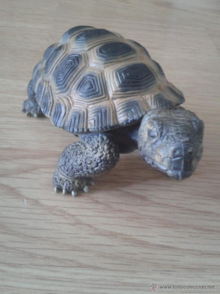 Figuras de goma y PVC: TORTUGA - BULLYLAND-dificil - Foto 1