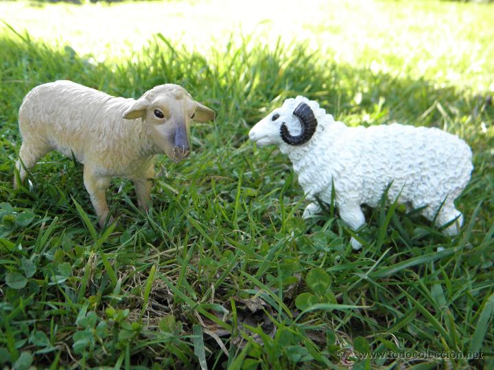 Figuras de goma y PVC: Lote dos figuras oveja y carnero de 10 x 8 cent&iacute;metros