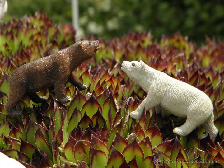 Figuras de Borracha e PVC: Lote dos figuras oso polar y oso pardo, de 7 x 3 cm
