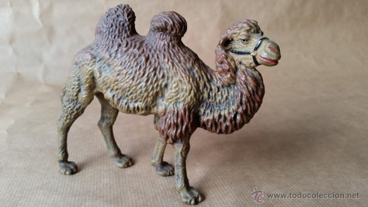 Figuras de goma y PVC: Camello lineol 1930 - Foto 1