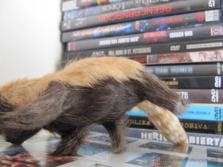 Figuras de goma y PVC: MAPACHE - Foto 4
