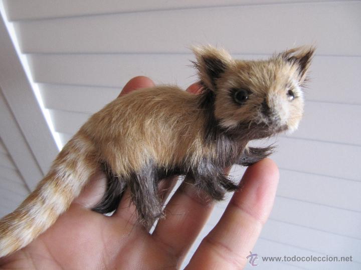 Figuras de goma y PVC: MAPACHE - Foto 6