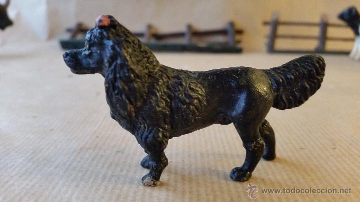 Figuras de goma y PVC: PERRO DE AGUAS PFEIFFER 1930 - Foto 1