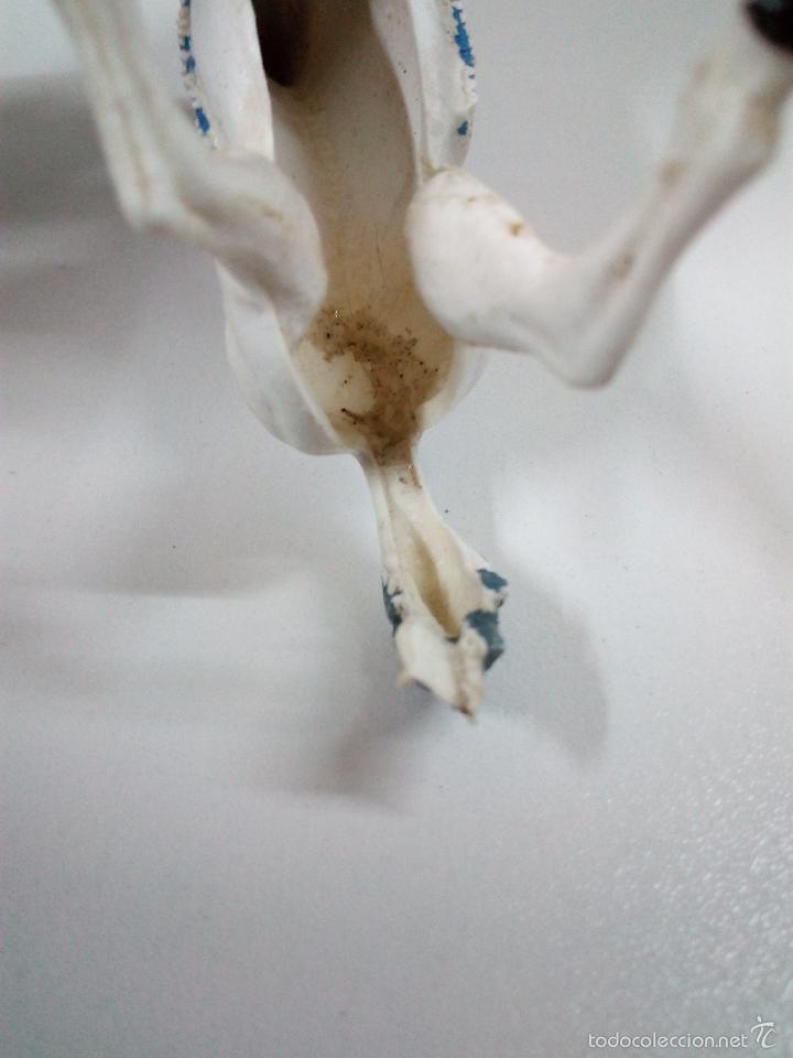 Figuras de goma y PVC: CABALLO INDIO - Foto 5