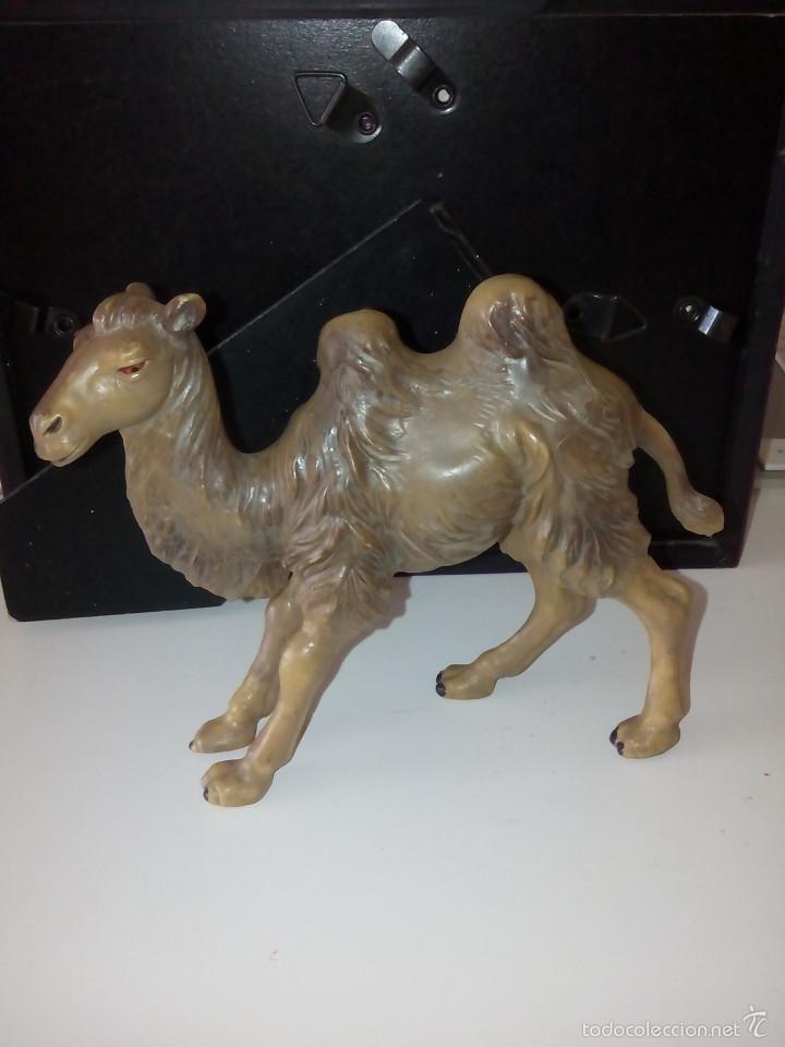 Figure di Gomma e PVC: Antigua Figura pvc Camello Dromedario. Marcado Camel. De 11 x 11 cms.