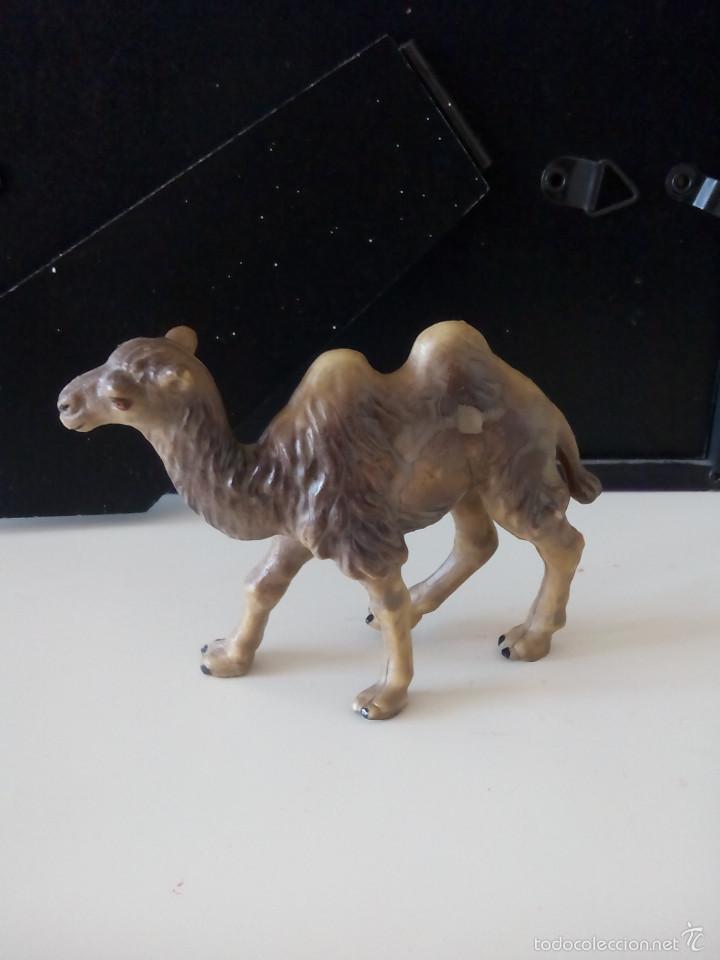 Figure di Gomma e PVC: Antigua Figura pvc Camello Dromedario. Marcado Camel. De 6,50 cms.