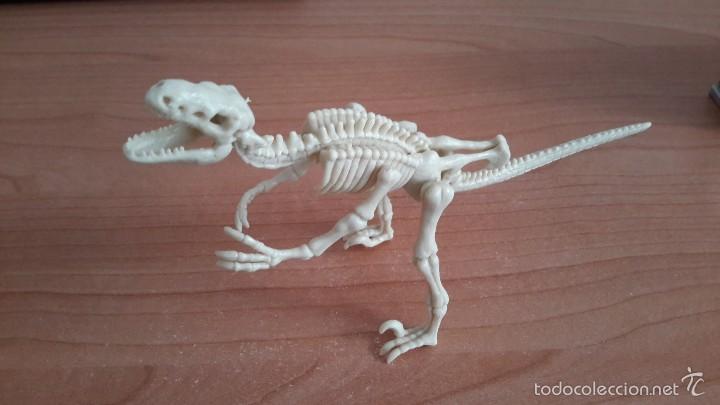 Figuras de goma y PVC: ESQUELETO DE DINOSAURIO. - Foto 1