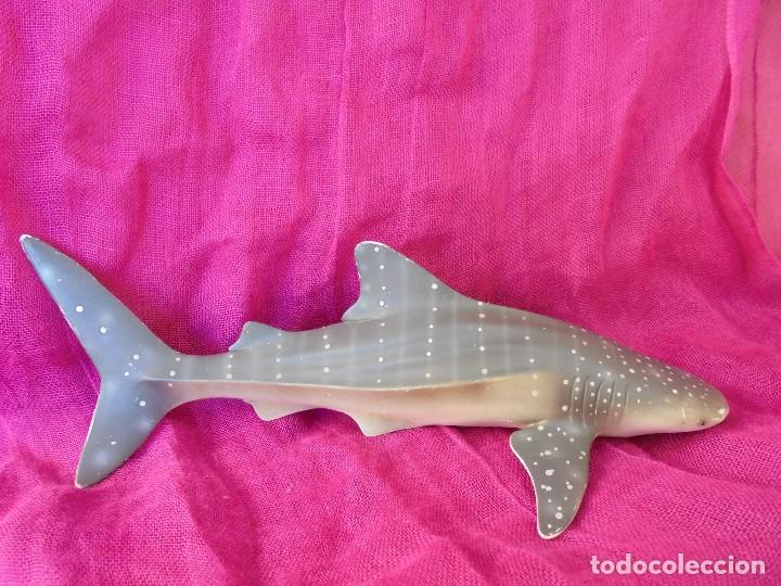 Figuras de goma y PVC: TIBUR&Oacute;N PVC - Foto 1