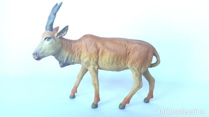 Figuras de goma y PVC: ELAND ELASTOLIN 1950 , PECH, LAFREDO - Foto 1