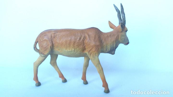 Figuras de goma y PVC: ELAND ELASTOLIN 1950 , PECH, LAFREDO - Foto 2
