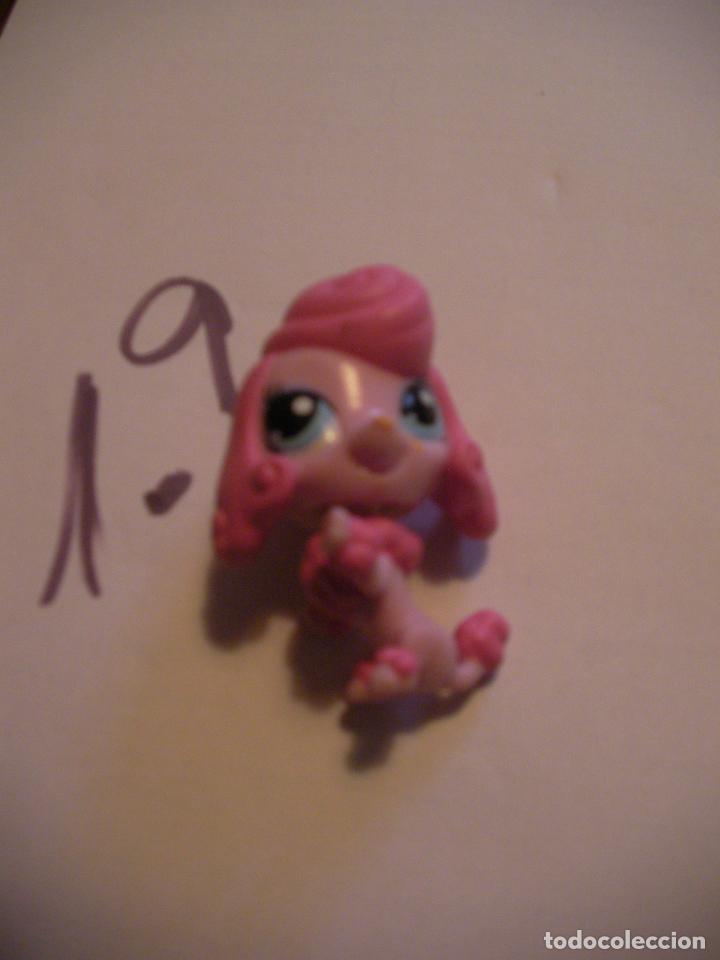 Gummi- und PVC-Figuren: FIGURA DE GOMA O PVC ANIMALITO - ENVIO INCLUIDO A ESPA&Ntilde;A