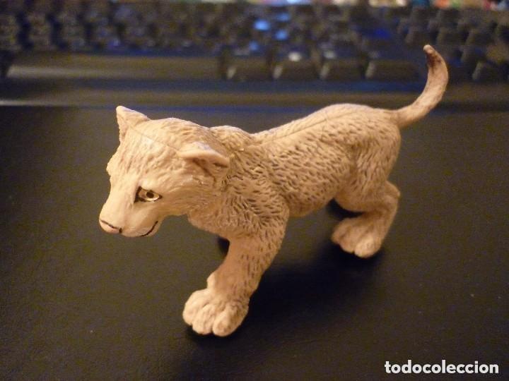 Rubber and PVC Figures: FIGURA CACHORRO DE LE&Oacute;N - SAFARI LTD MIAMI 1996