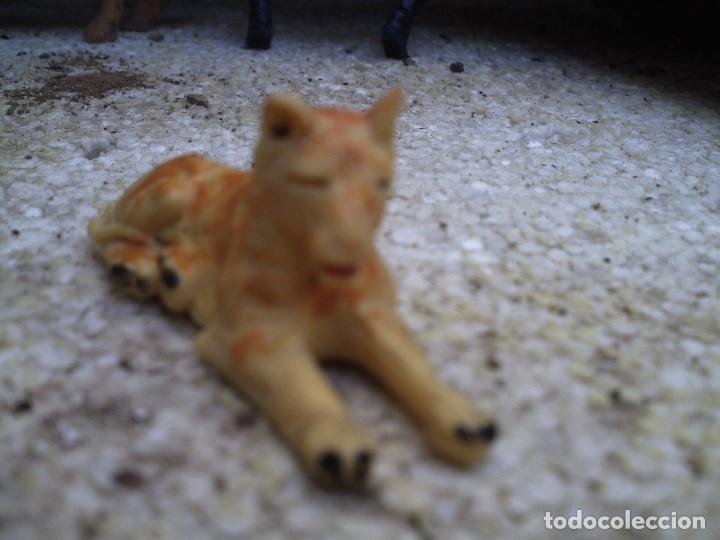 Figuras de goma y PVC: leona del circo jecsan - Foto 2